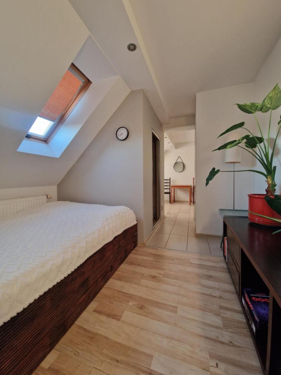 Efekt 19 - Housity