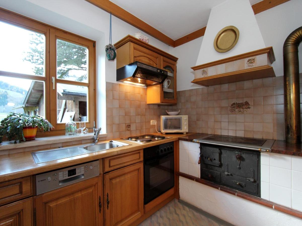 Apartment Sulzau near Wildkogel Ski Slopes - Housity