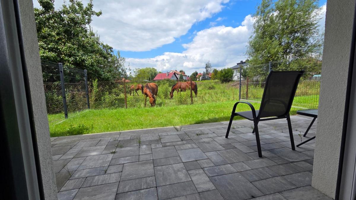 Apartamenty Jasionka Lotnisko - Housity