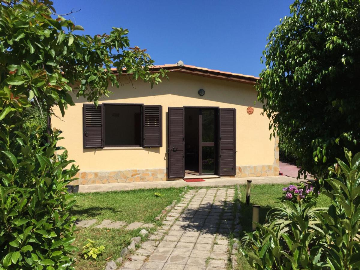 Goddess Yard - Housity