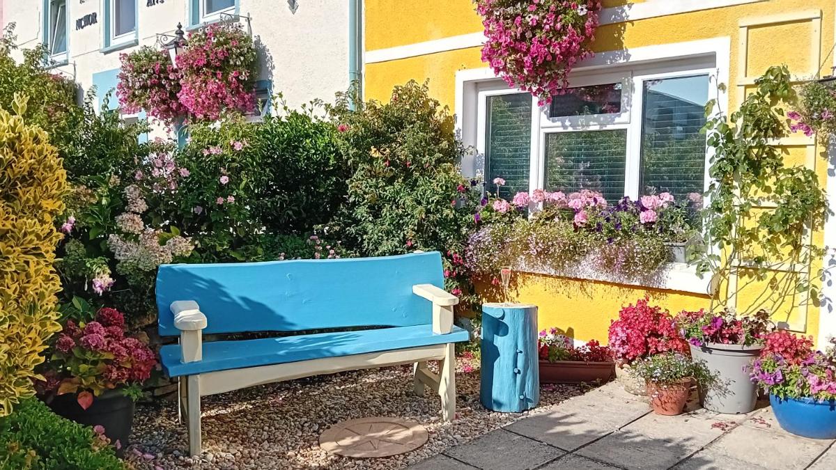 Globe Guesthouse - Housity