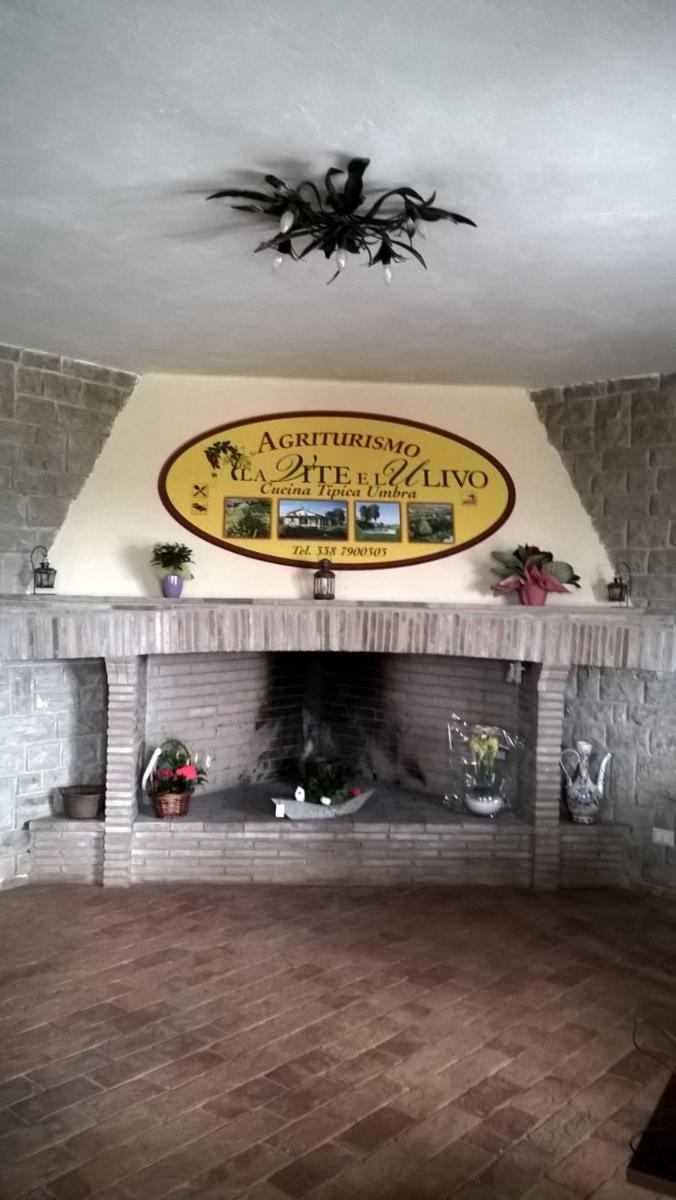 Agriturismo La Vite e L'Ulivo - Housity