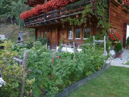 Ferienwohnung am Gibelsbach - Housity