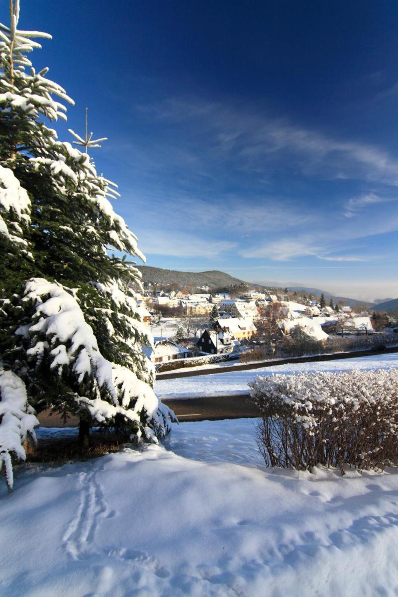 Paysage naturel près de l'hôtel