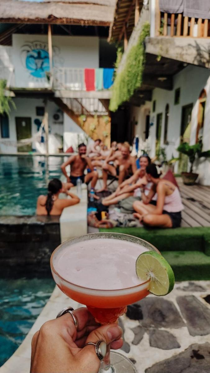 Tipsea Turtle Gili Air - Housity