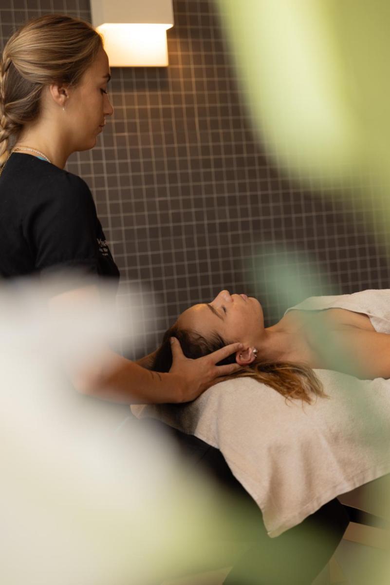 Clients de l'établissement Hôtel & Spa Vitalparc, The Originals Collection