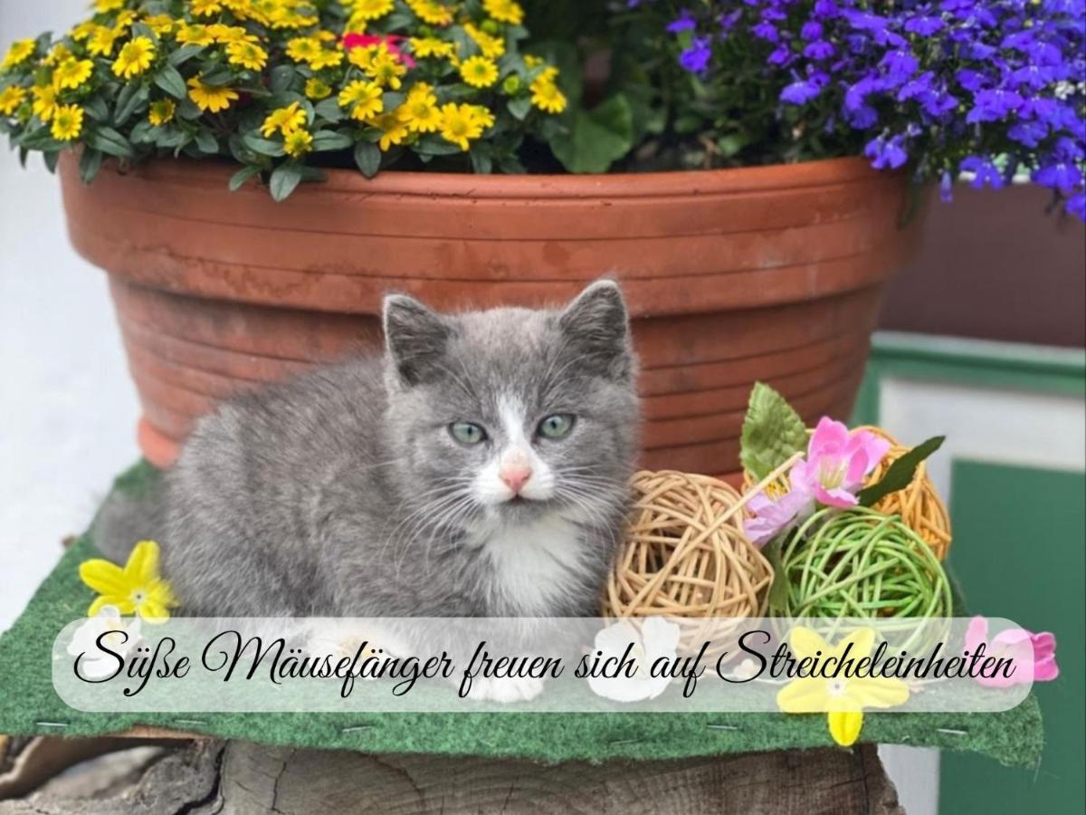 Hintergraber Hof - Housity