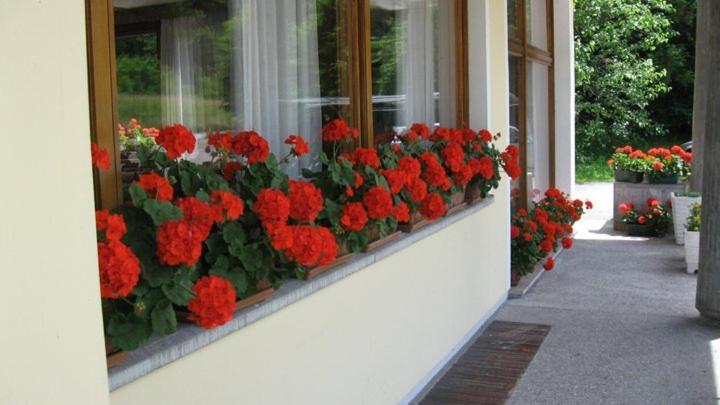 Hotel Dante - Housity