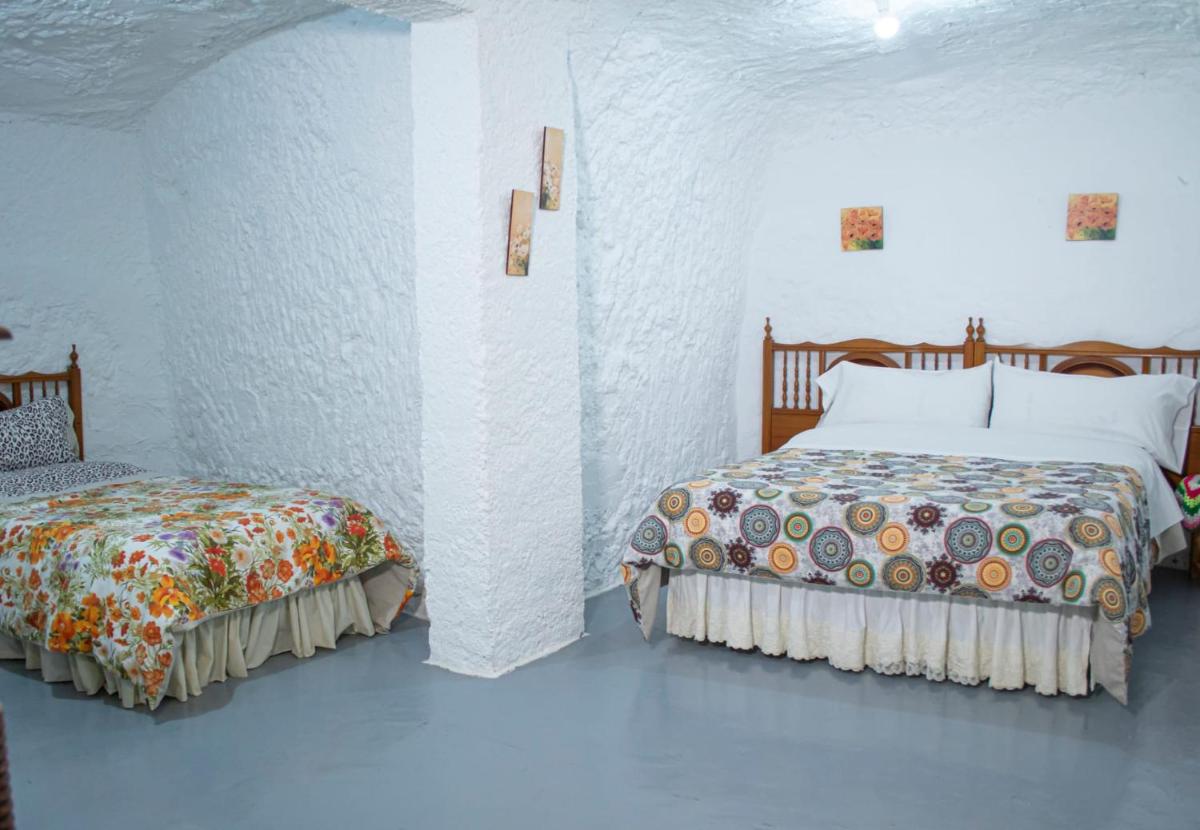 Cueva Navarro - Housity