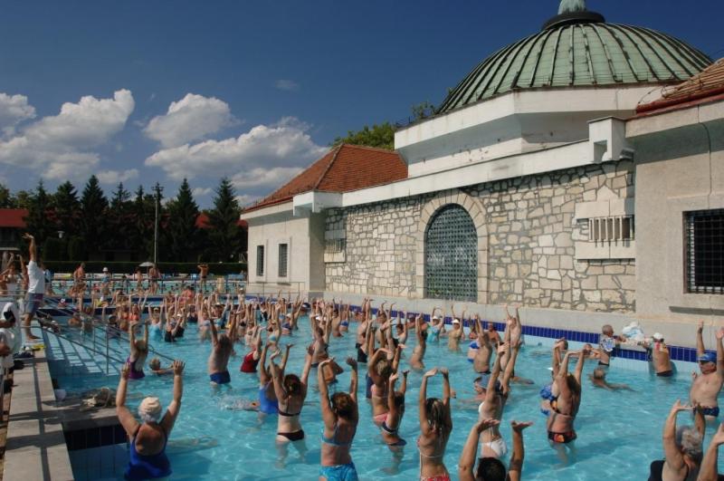 Kovács Vendégház - Housity