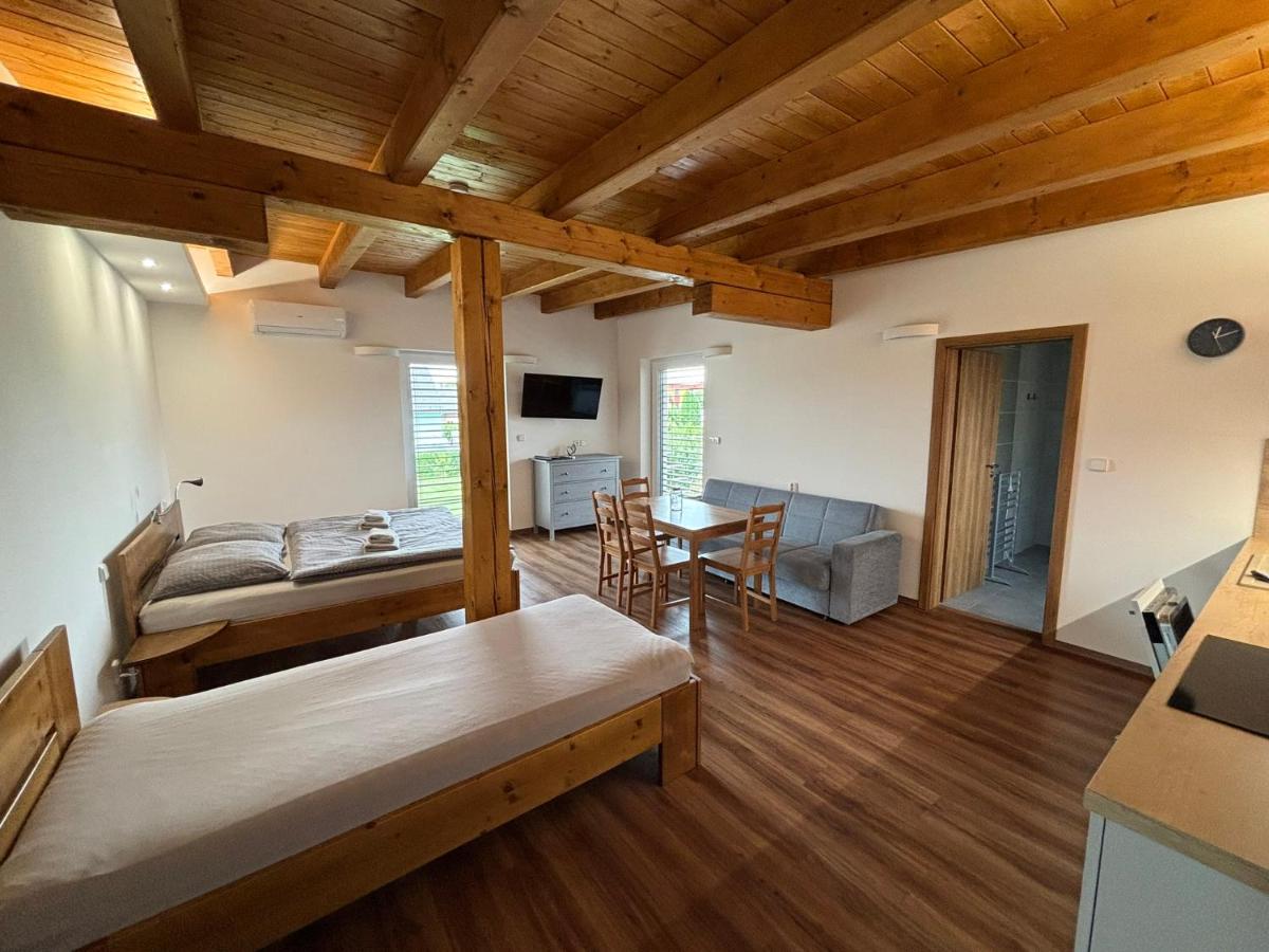 ANICO apartmány - Housity