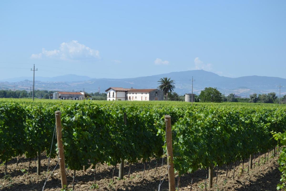 Agriturismo De Luca - Housity