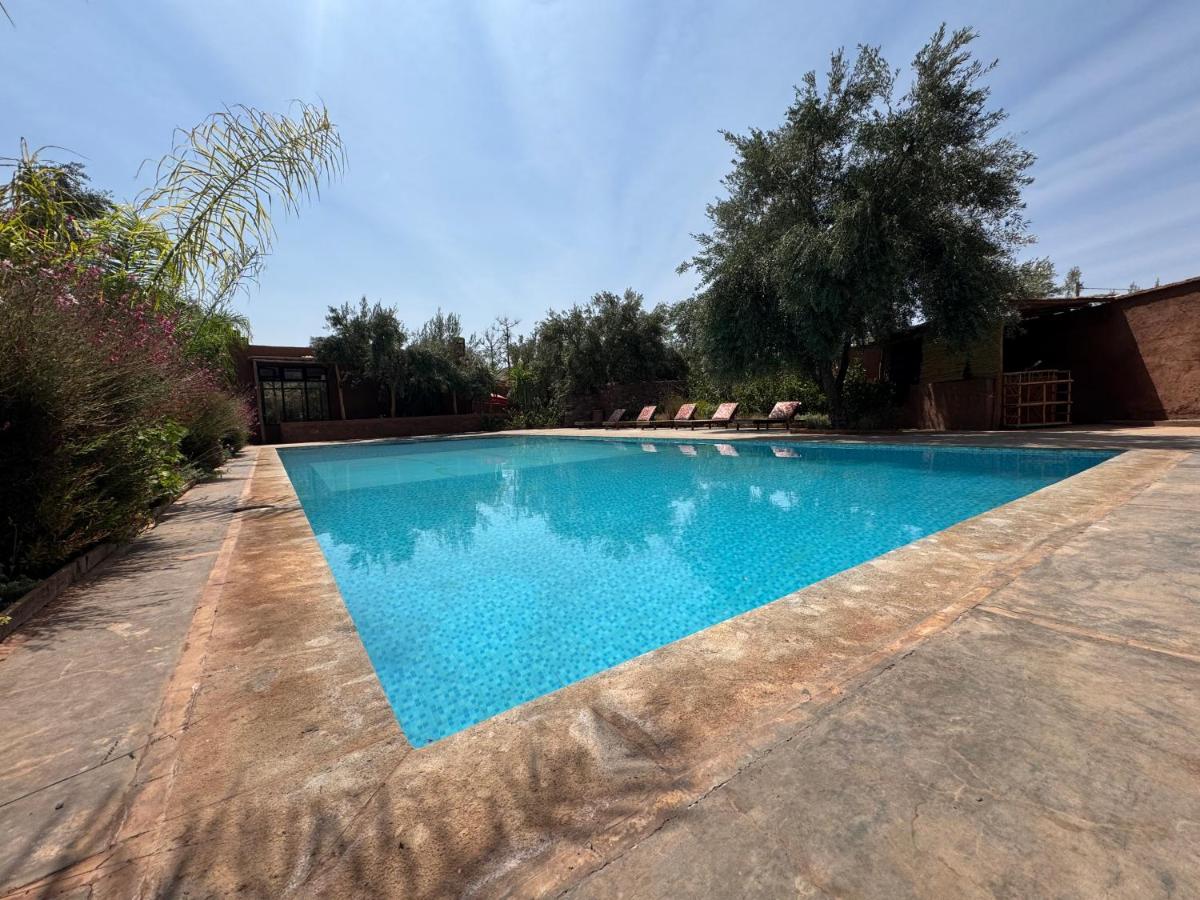 Ecolodge Dar bouhouta - Housity