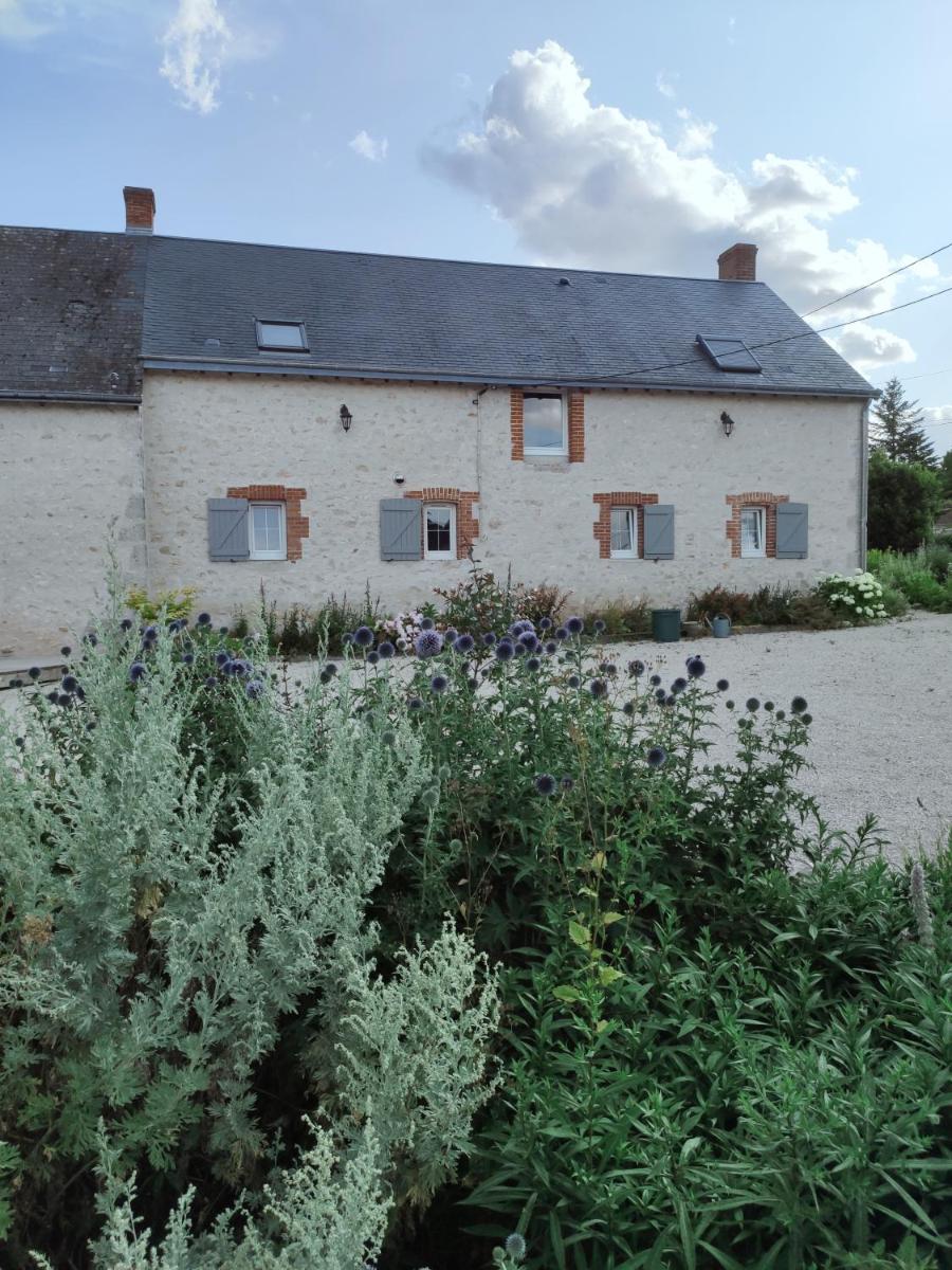 Oacisse - Housity