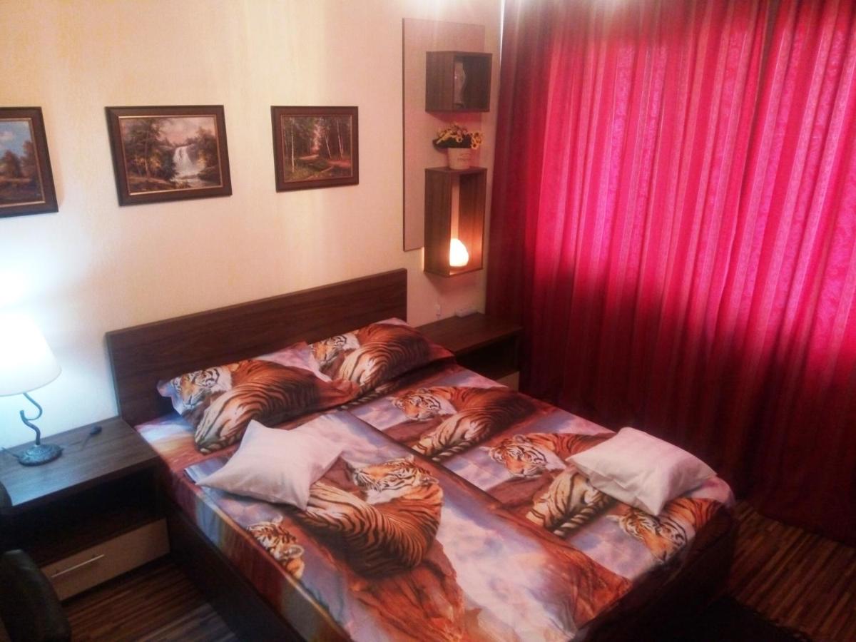 Apartament Dana - Housity
