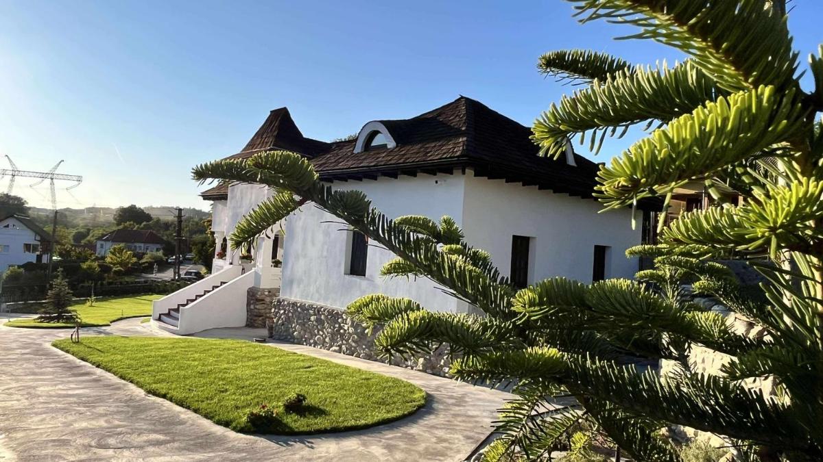 Odaile Brancovenesti -Maldaresti - Housity
