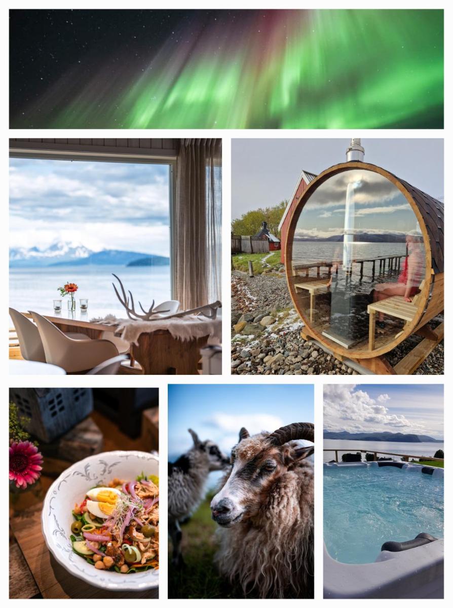 Yggdrasil Farmhotel Retreat, Spa & Yoga - Housity