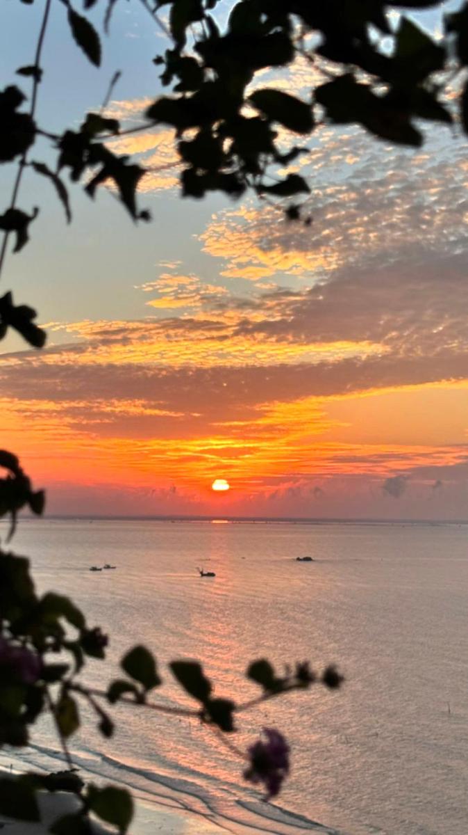 Flamin go Hải Tiến IBIZA 1 - Hizvo