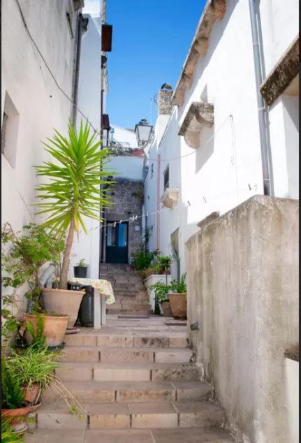 Monolocale Anny - Housity