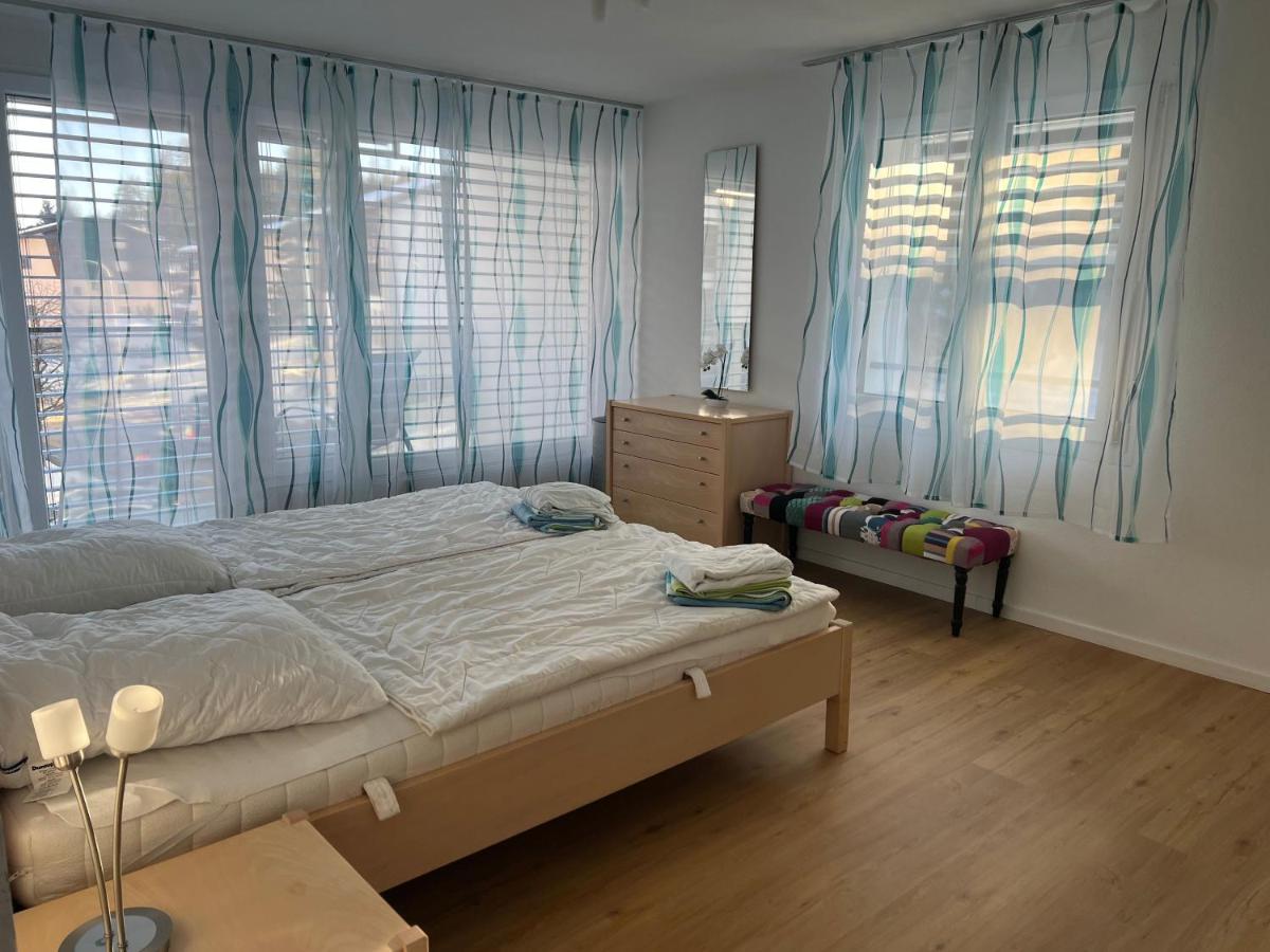 Sursilvana 18 (317 Ma) - Housity