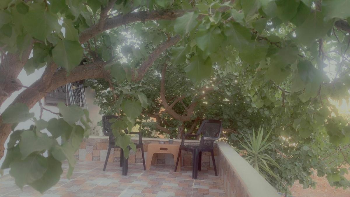 Jerash Canopy - Housity