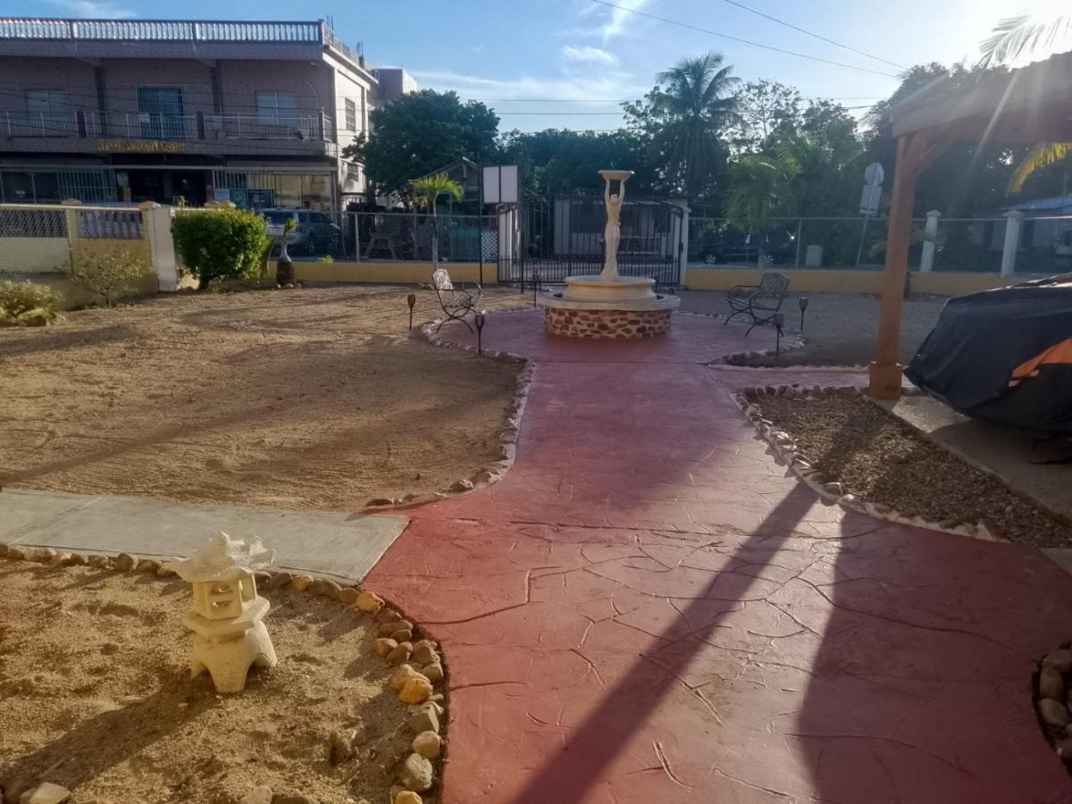 Xterra Palm Guest House - Housity