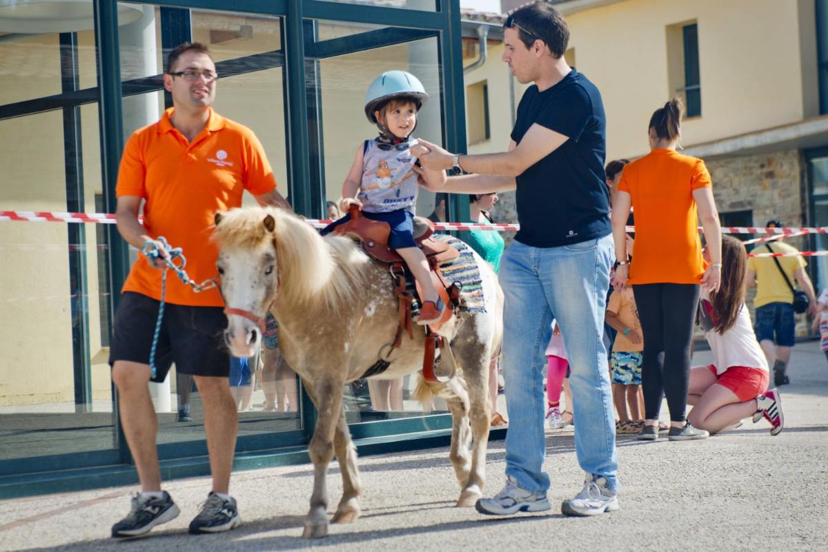 Animales en el hotel o alrededores