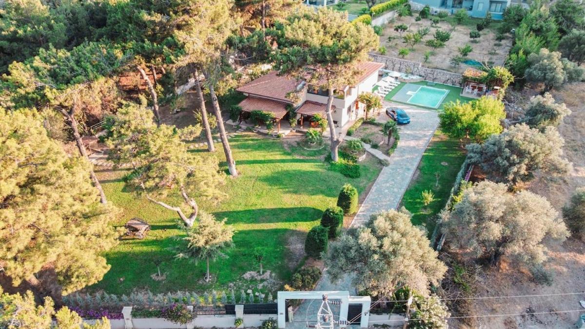 Private Villa in the Forest with Pool and Jacuzzi - Housity