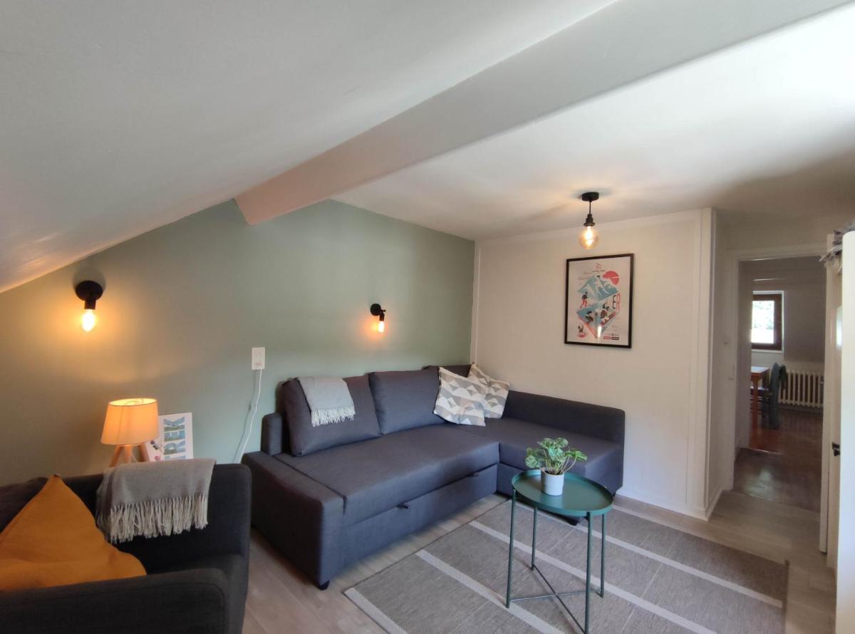 Appartement avec vue sur le Sancy, parking gratuit - Housity