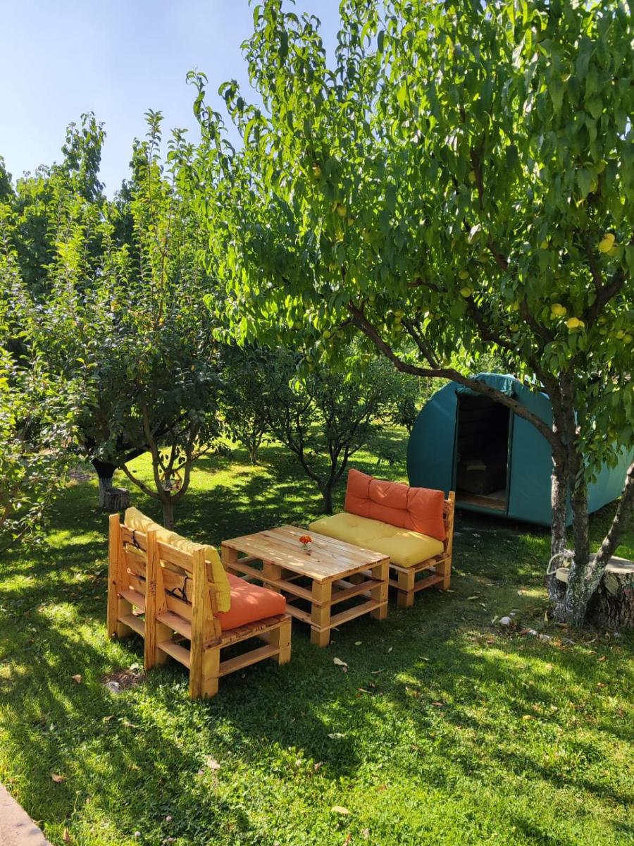 Nataly Campsite - Housity