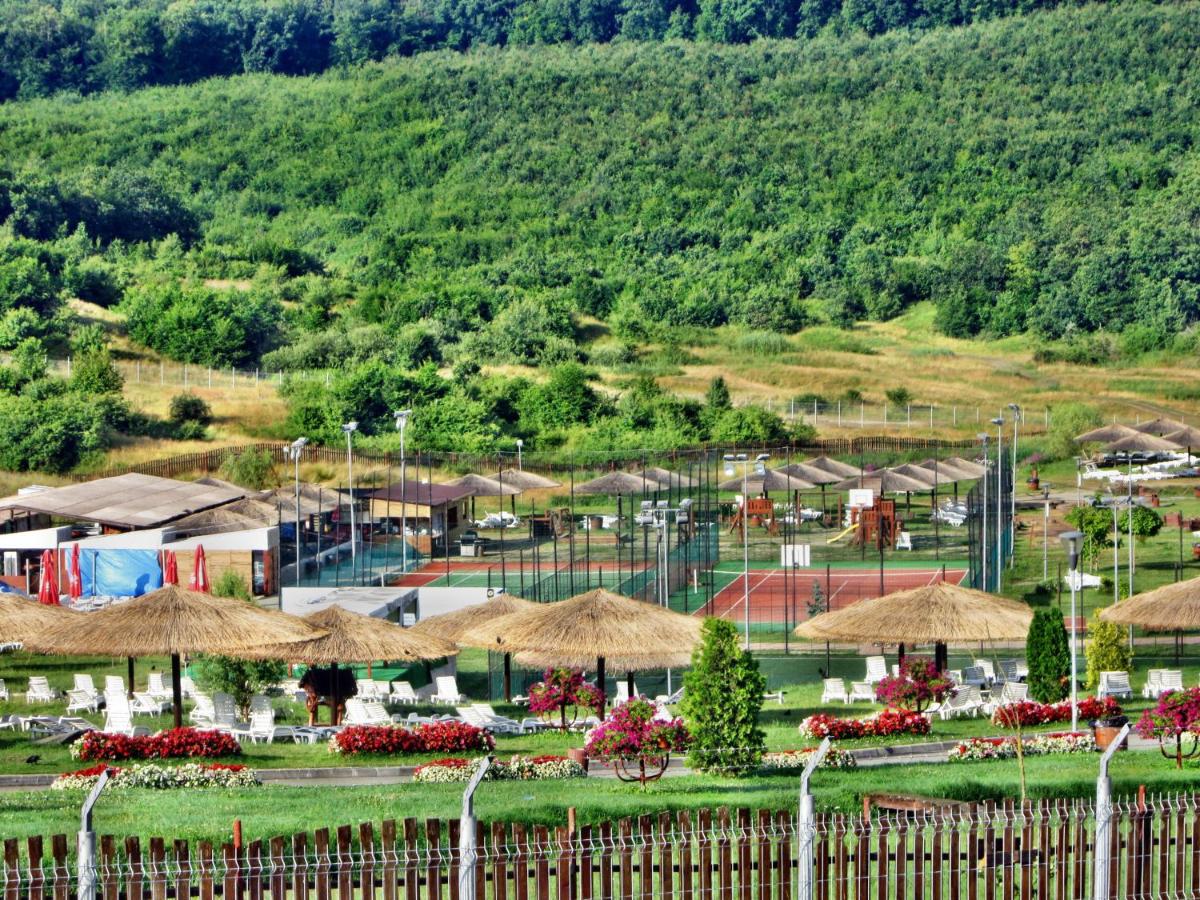 Casutele Dana - Housity