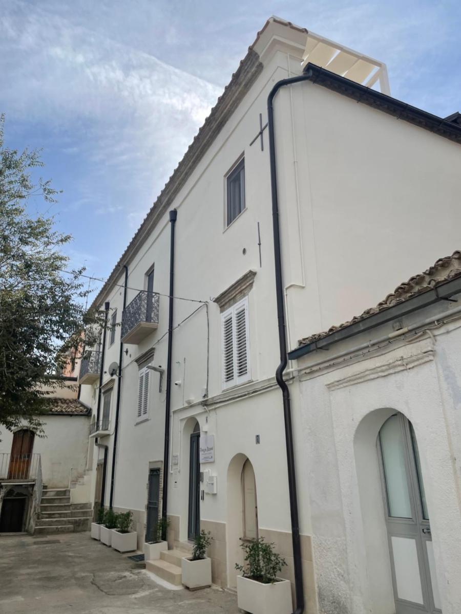 Terrazza Ziccardi - Housity