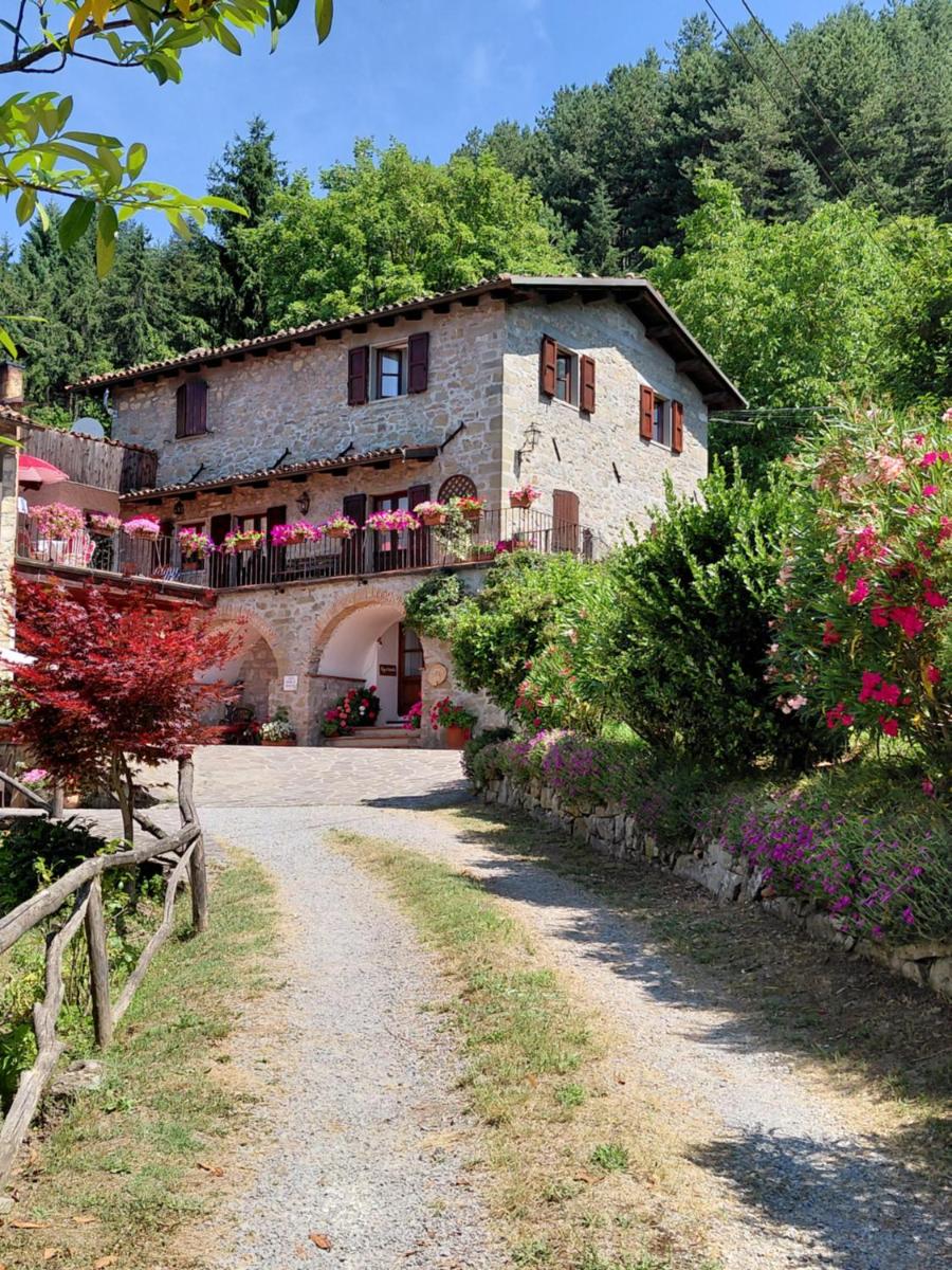 LE PIANACCE - Appartamento per vacanze - Housity