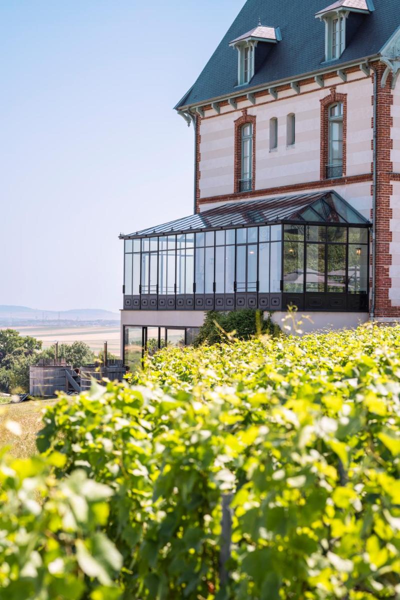 une maison au sommet d'un champ de fleurs dans l'établissement Chateau de Sacy, à Sacy