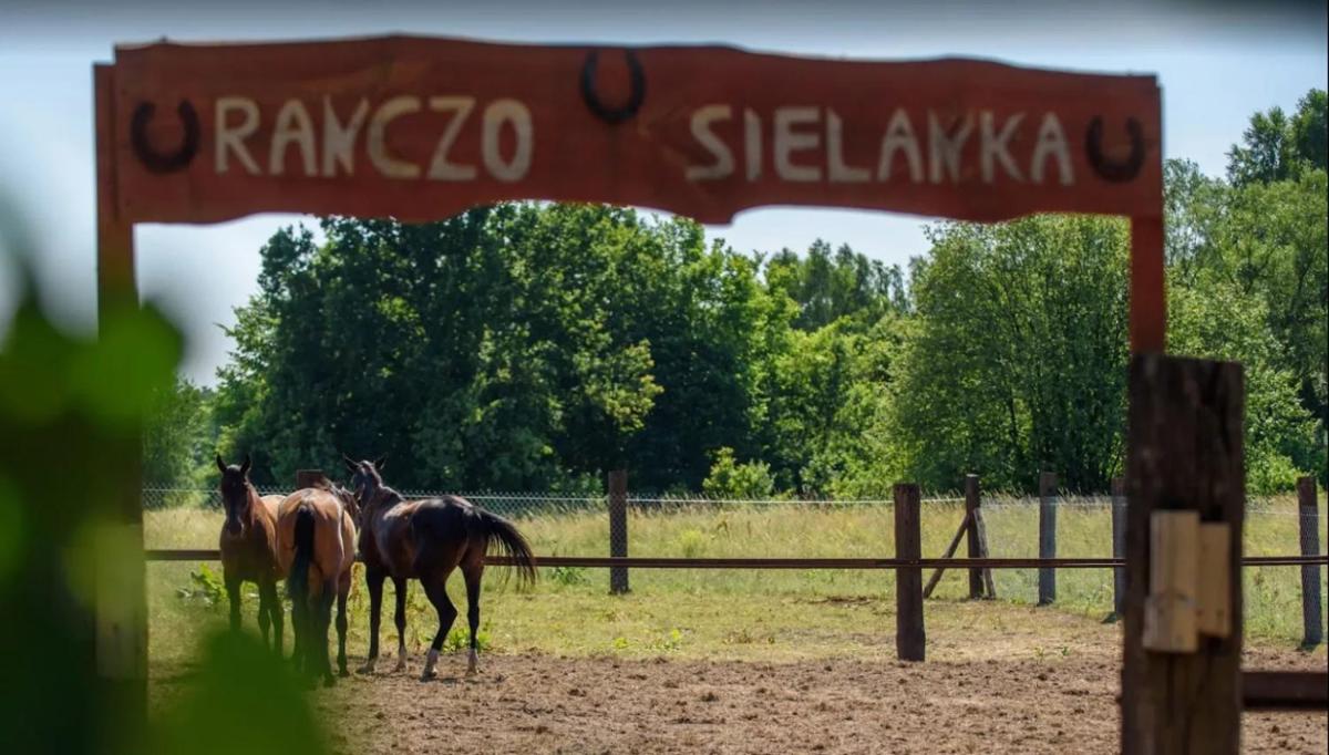 Ranczo Drażniew & Ranczo Sielanka - Housity
