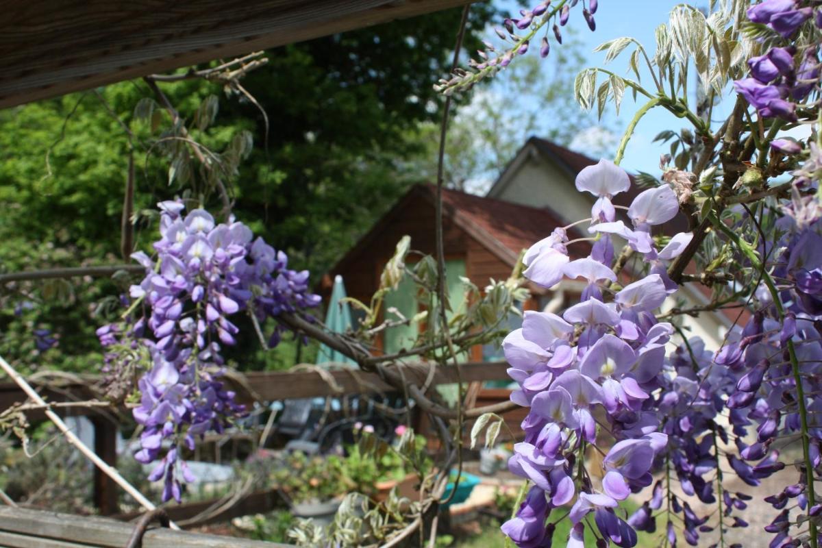 River Cottage - Housity