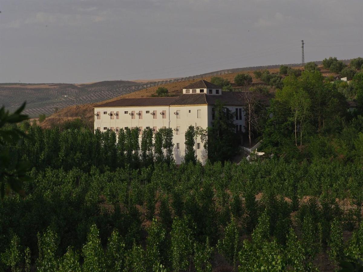 Paisaje cerca de este hotel