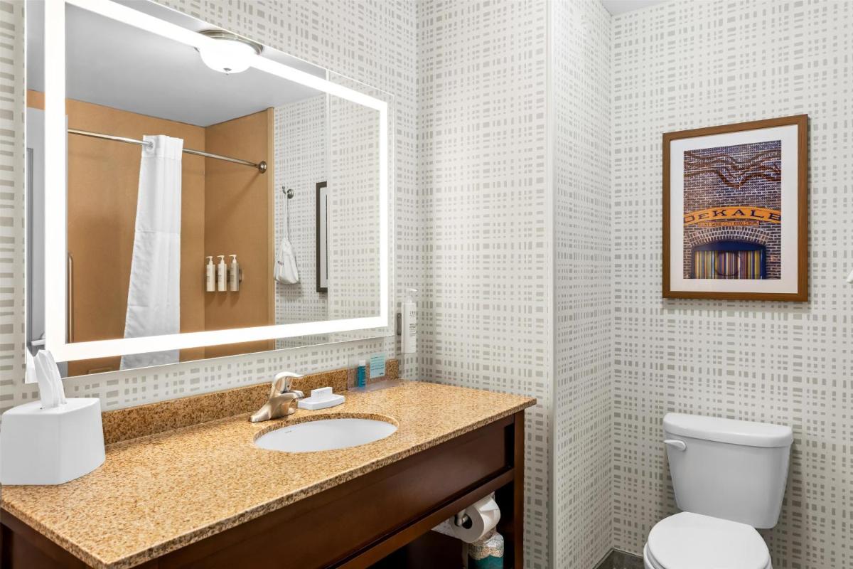 Hampton Inn Dekalb - Near the University - Housity