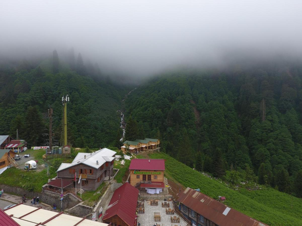 Gelgor Hotel - Housity