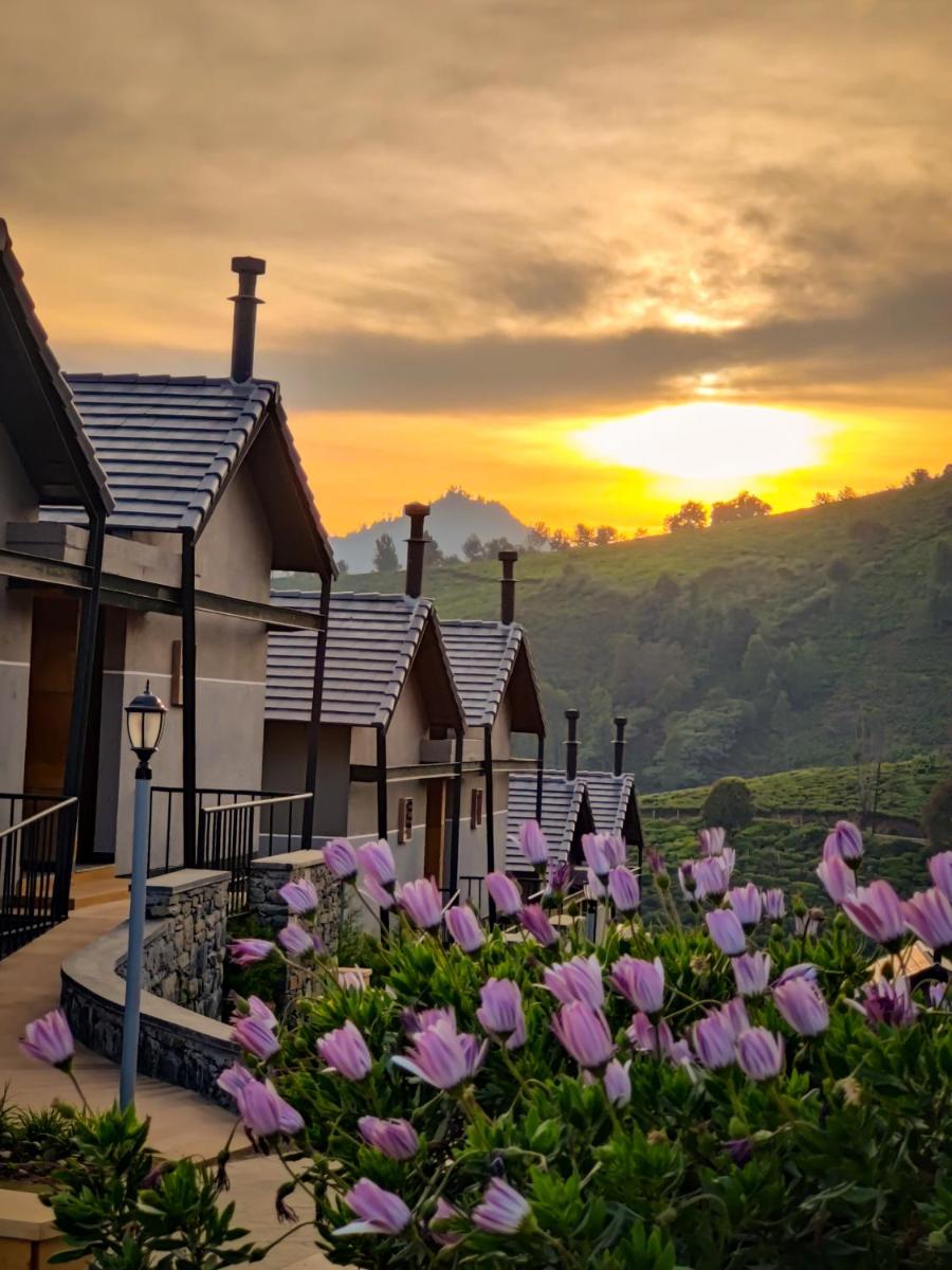 a field of pink flowers in front of a house at WelcomHeritage Ayatana Ooty in Ooty