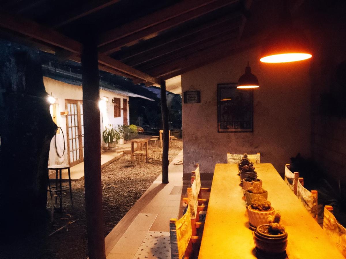 Hermoso Palomino - Housity