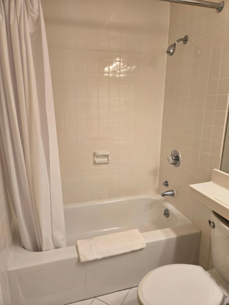 Amsterdam Hotel - Housity