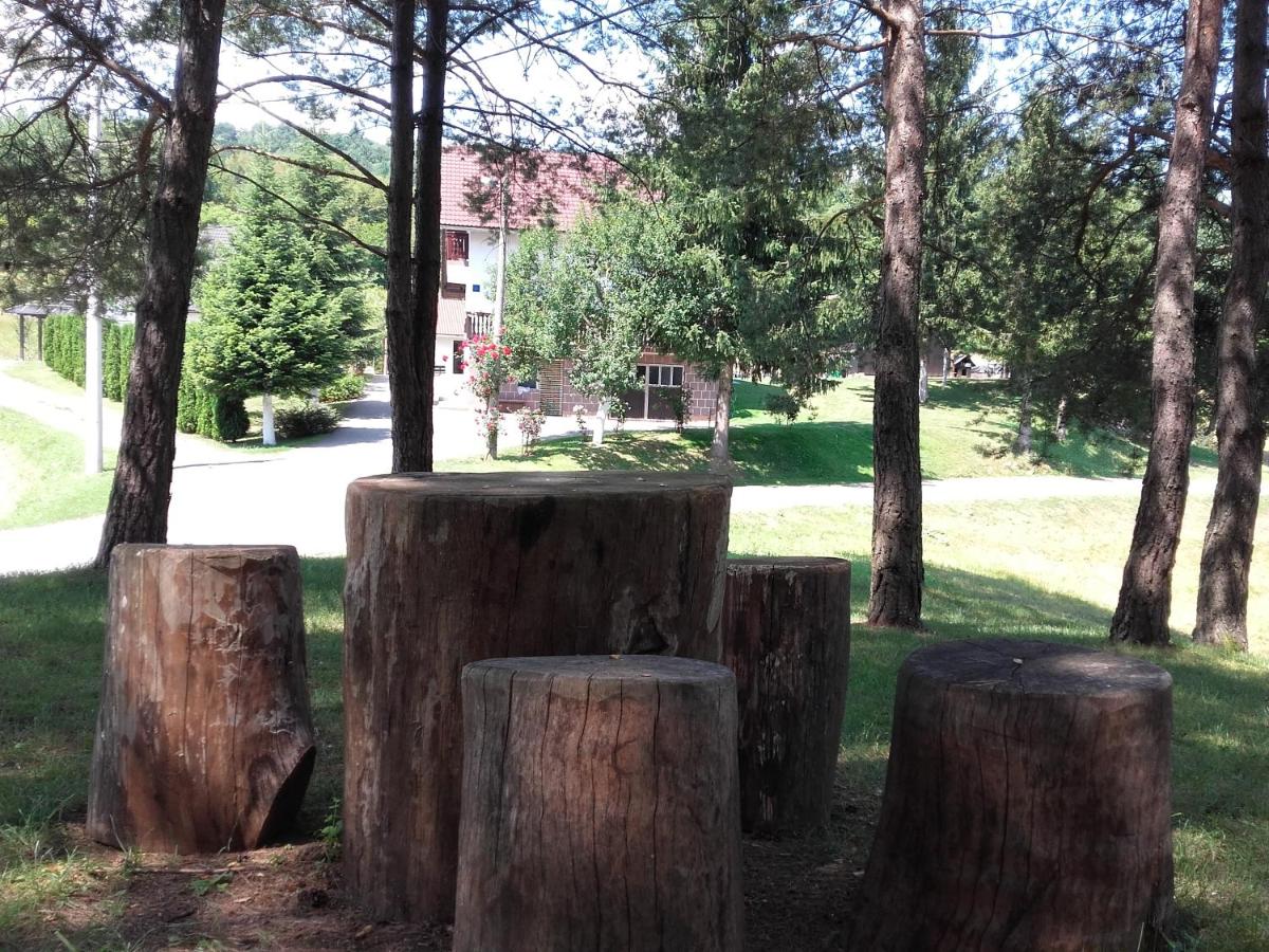 Apartment Drago - Hizvo
