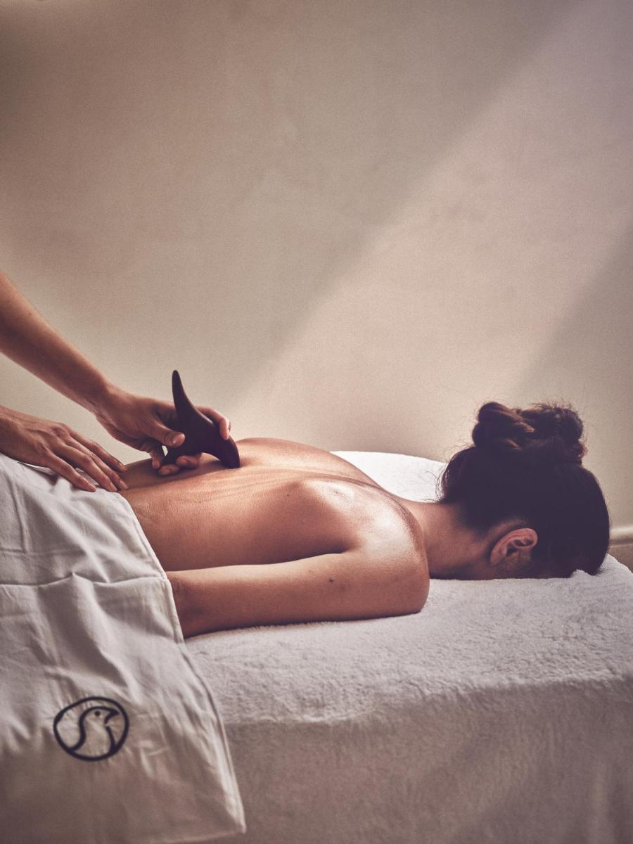 Clients de l'établissement Le Pigonnet - Esprit de France