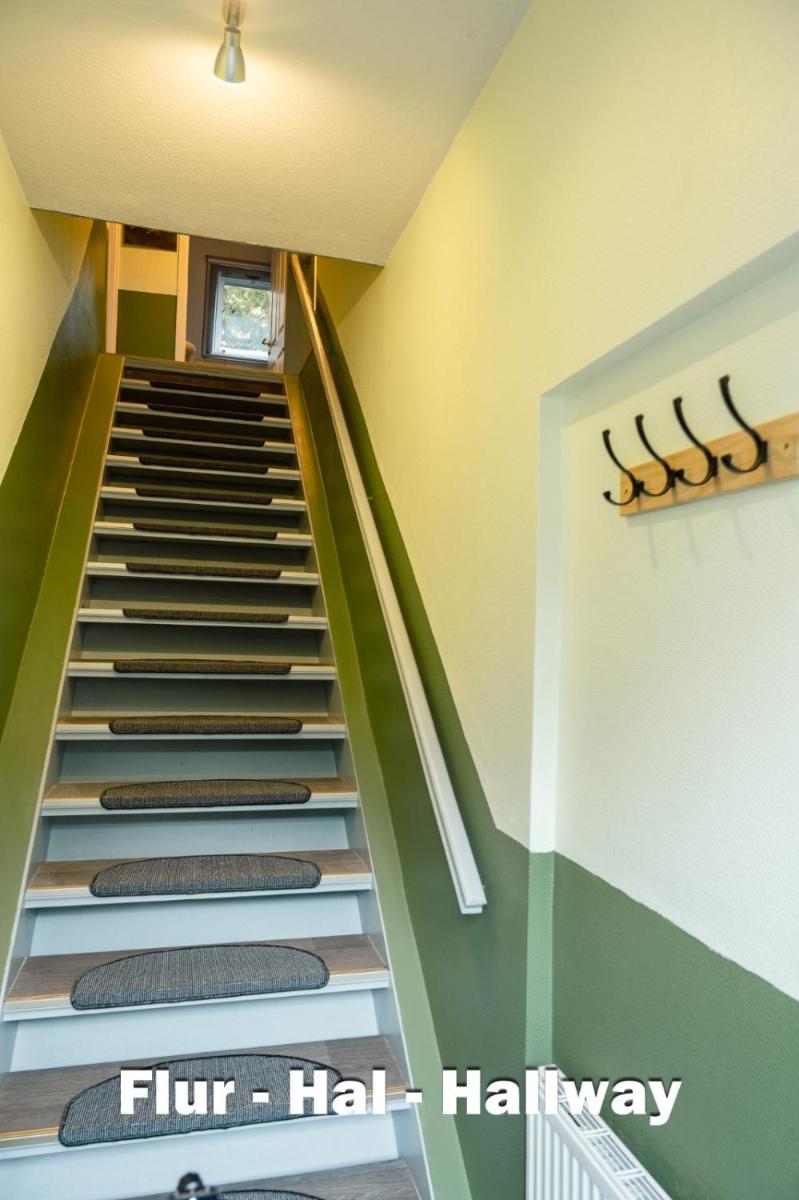 Viking - Housity