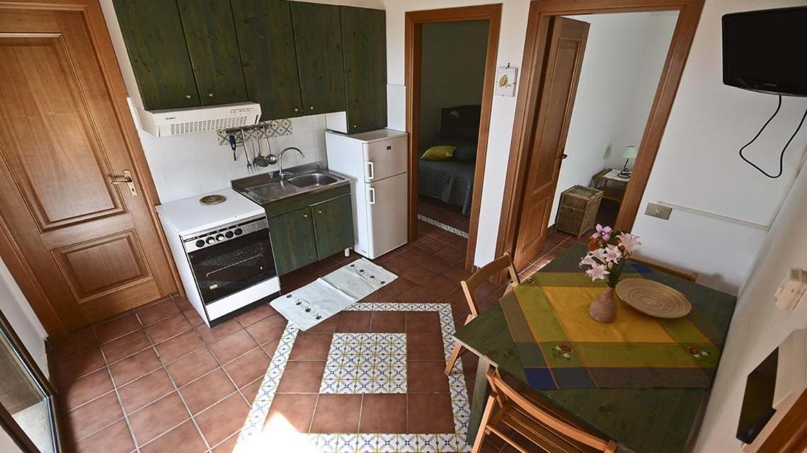Cottage Primula - Housity