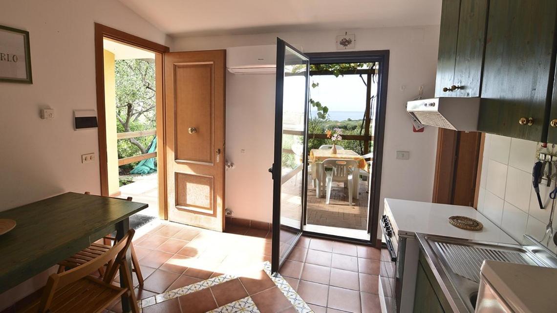 Cottage Primula - Housity