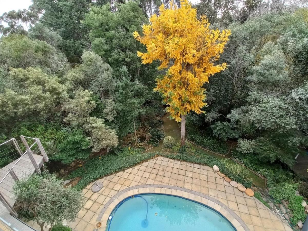 Pecan Tree Studio 1 with Forest View - Housity