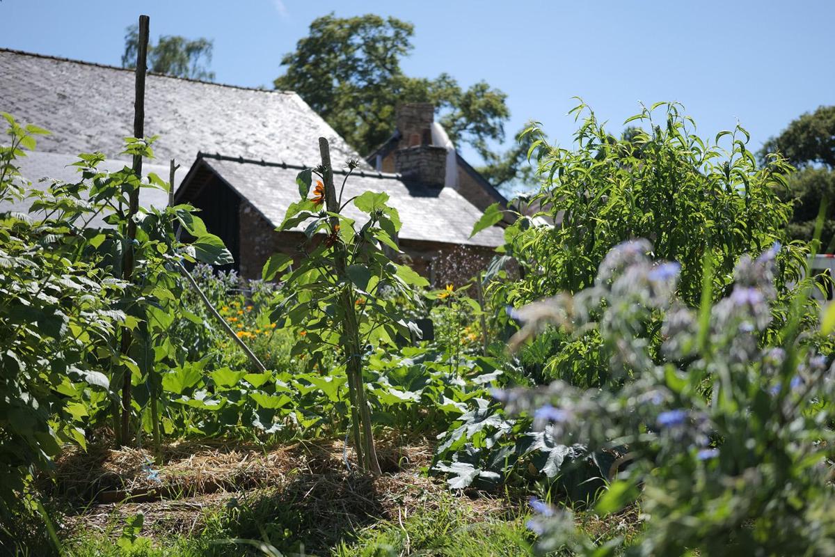 LA MAREUILLE- Offre de lancement - Maison écorénovée dans une ancienne ferme en pleine nature - Morbihan - Housity