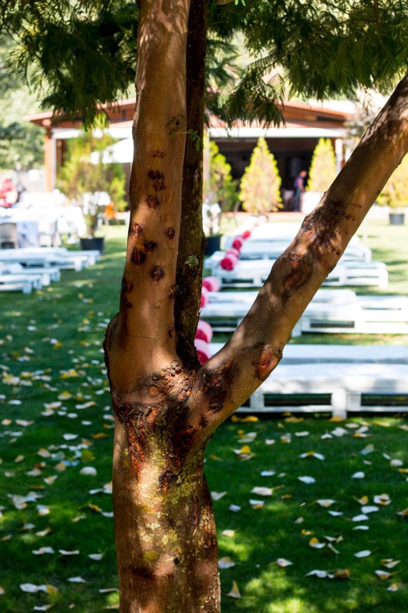 Jardín al aire libre en Hotel Balneario Valle del Jerte